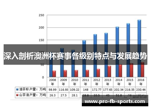 深入剖析澳洲杯赛事各级别特点与发展趋势