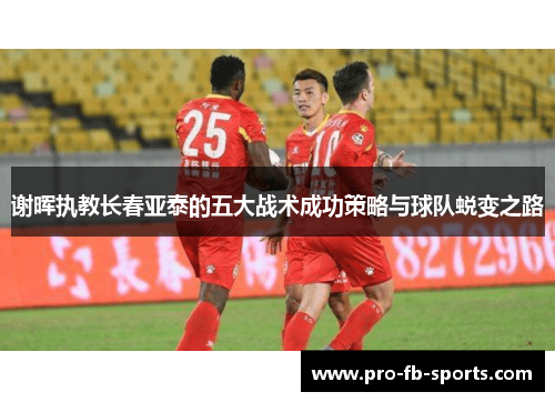 谢晖执教长春亚泰的五大战术成功策略与球队蜕变之路